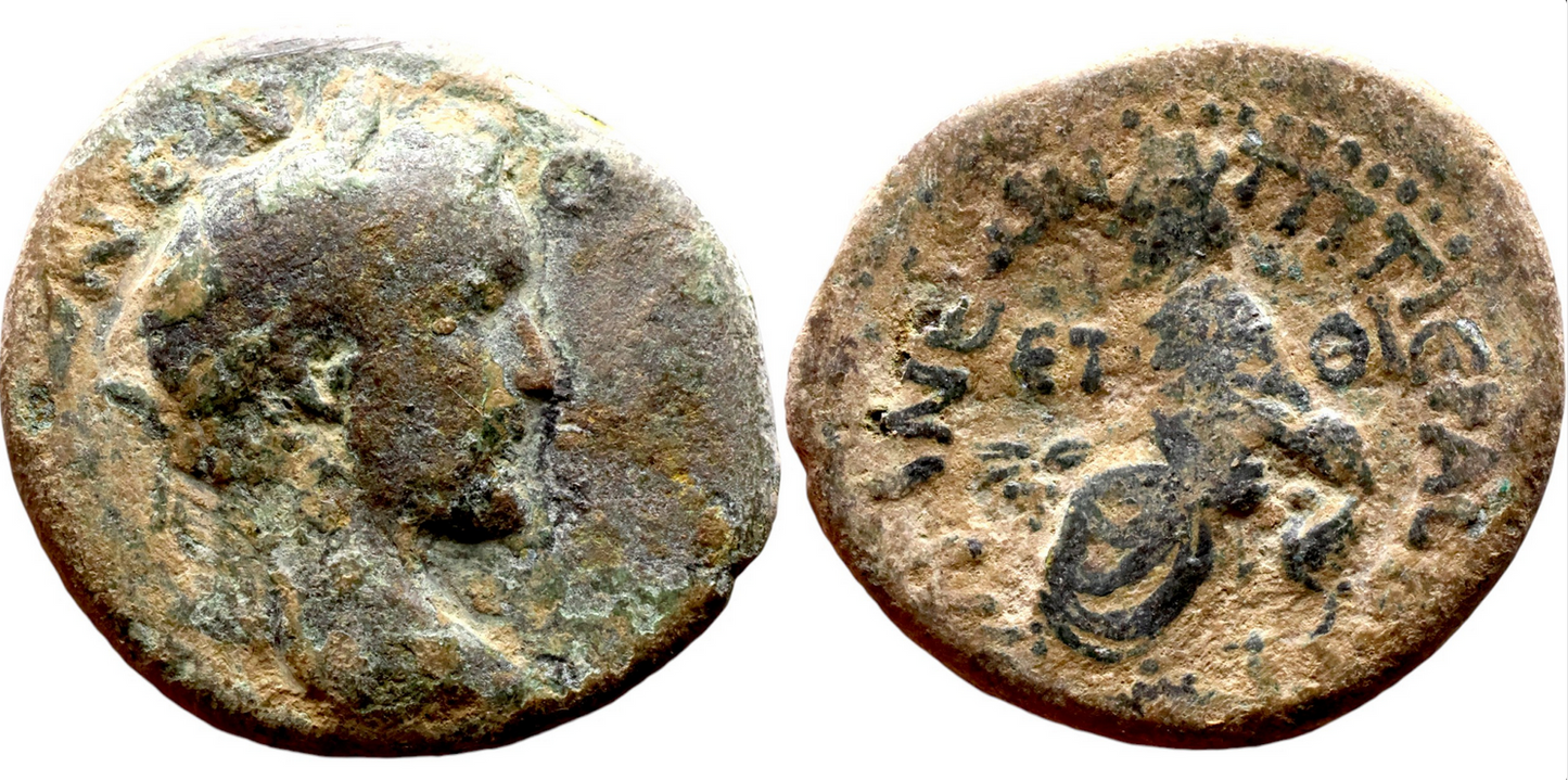 Roman Provincial Bronze coin of Antoninus Pius (138-161)