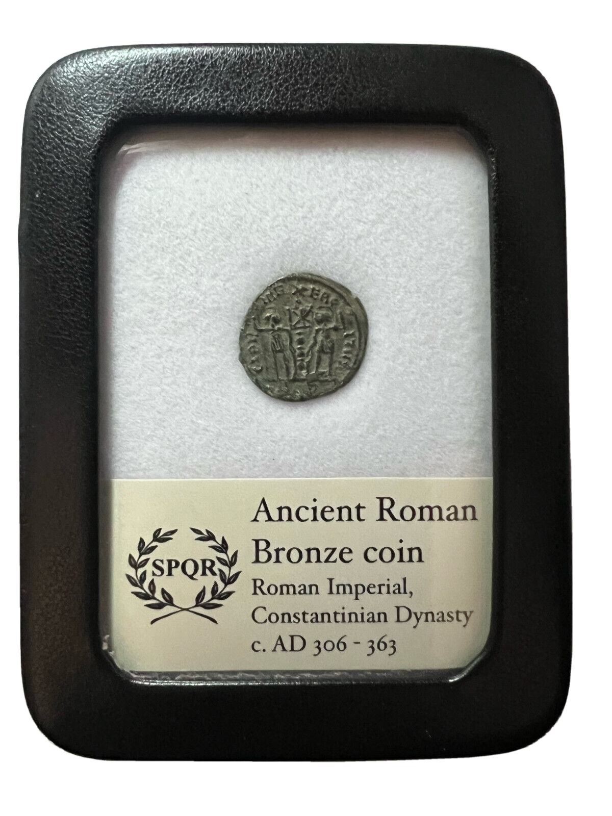 Roman Coin in Display Case