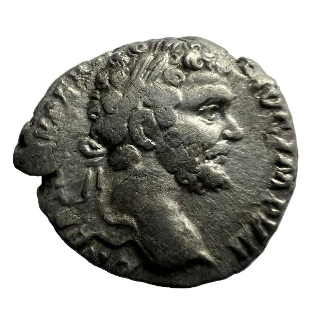 Ancient Roman Silver Coin Denarius Septimius Severus AD 193-211 Rome