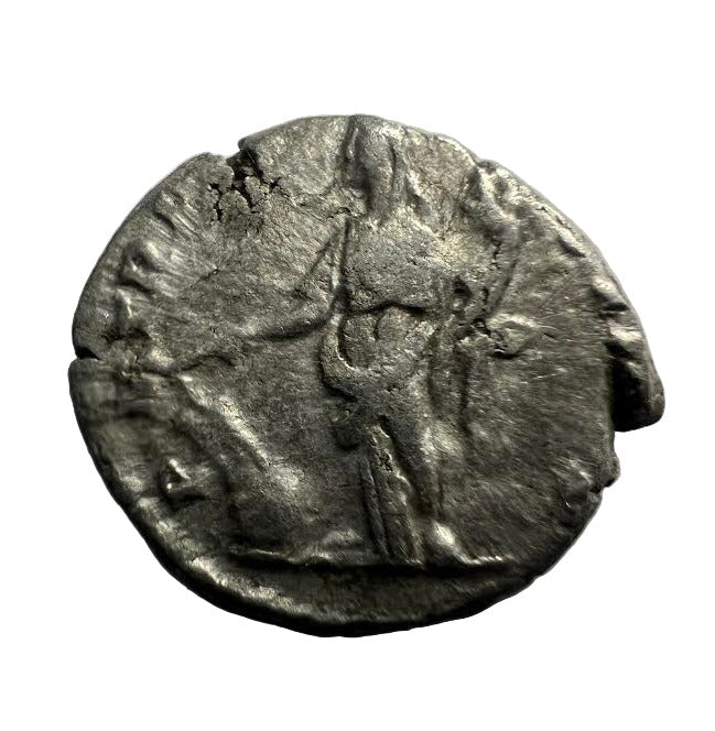 Ancient Roman Silver Coin Denarius Septimius Severus AD 193-211 Rome