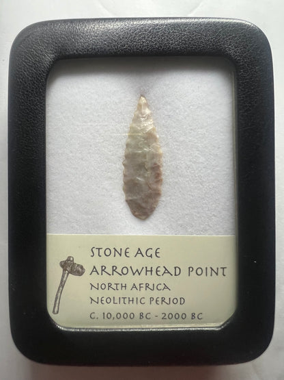 Stone Age Ancient Neolithic Stone Arrowhead in Display Case!