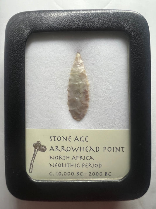 Stone Age Ancient Neolithic Stone Arrowhead in Display Case!