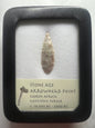 Stone Age Ancient Neolithic Stone Arrowhead in Display Case!