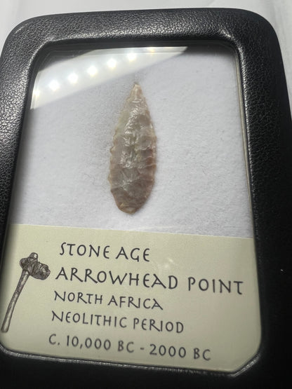 Stone Age Ancient Neolithic Stone Arrowhead in Display Case!