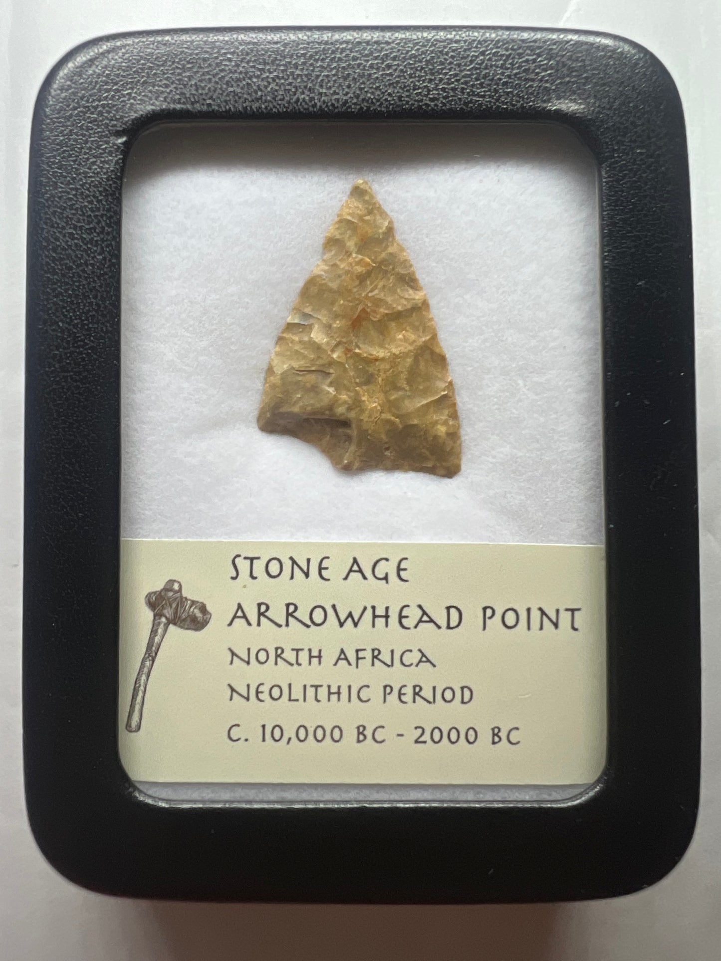 Stone Age Ancient Neolithic Stone Arrowhead in Display Case!