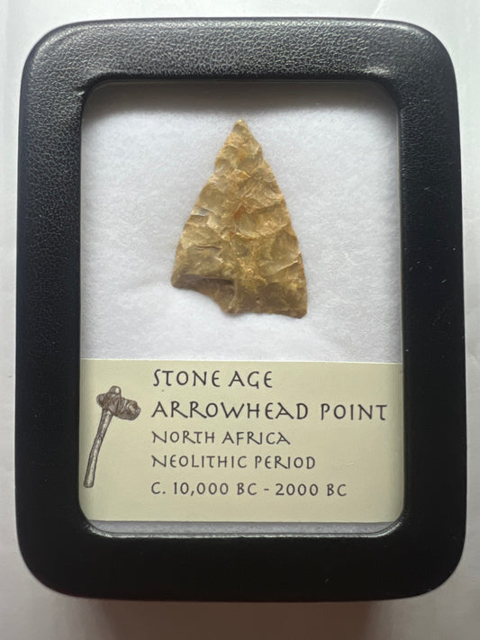 Stone Age Ancient Neolithic Stone Arrowhead in Display Case!