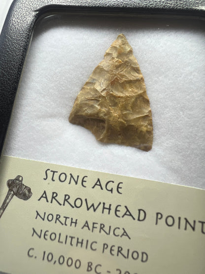 Stone Age Ancient Neolithic Stone Arrowhead in Display Case!