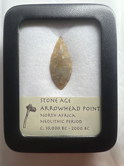 Stone Age Ancient Neolithic Stone Arrowhead in Display Case!