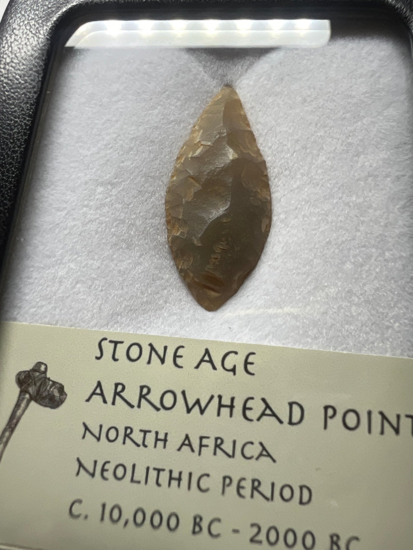Stone Age Ancient Neolithic Stone Arrowhead in Display Case!