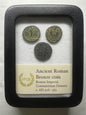 3 Genuine Uncleaned Ancient Roman Coin In Display Case