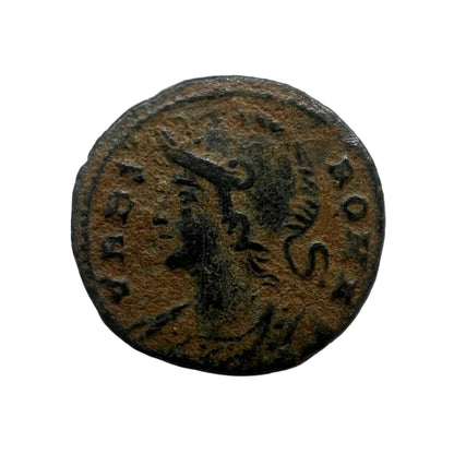 Genuine Constantine the Great Ancient Roman Coin In Display Case (URBS ROMA)