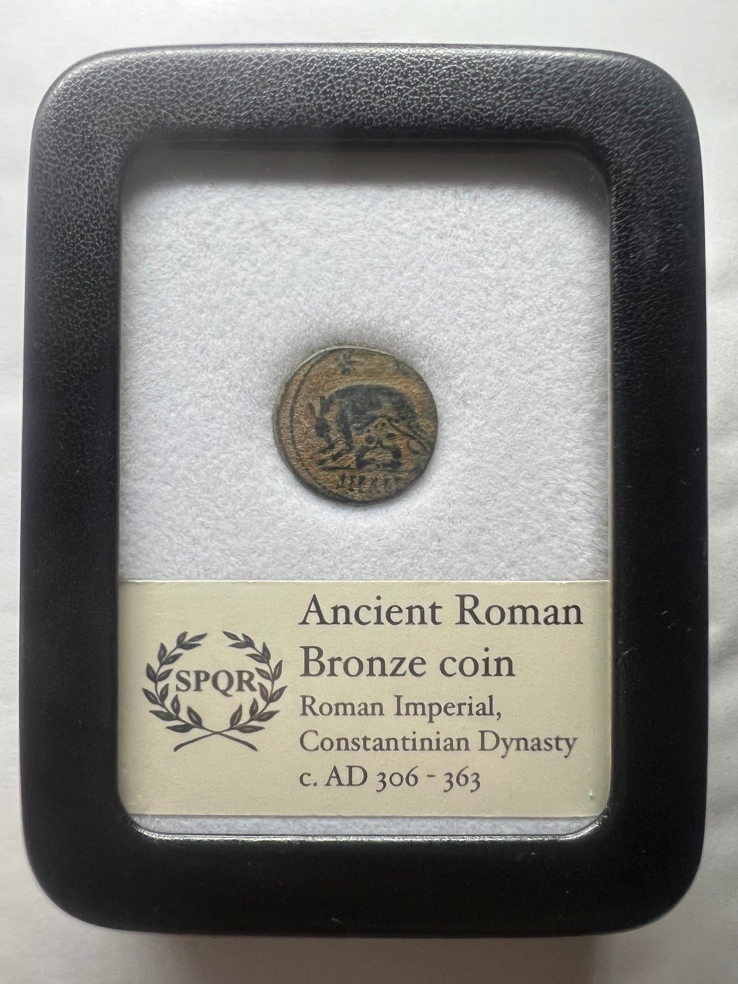 Ancient Roman coin She Wolf Urbs Roma
