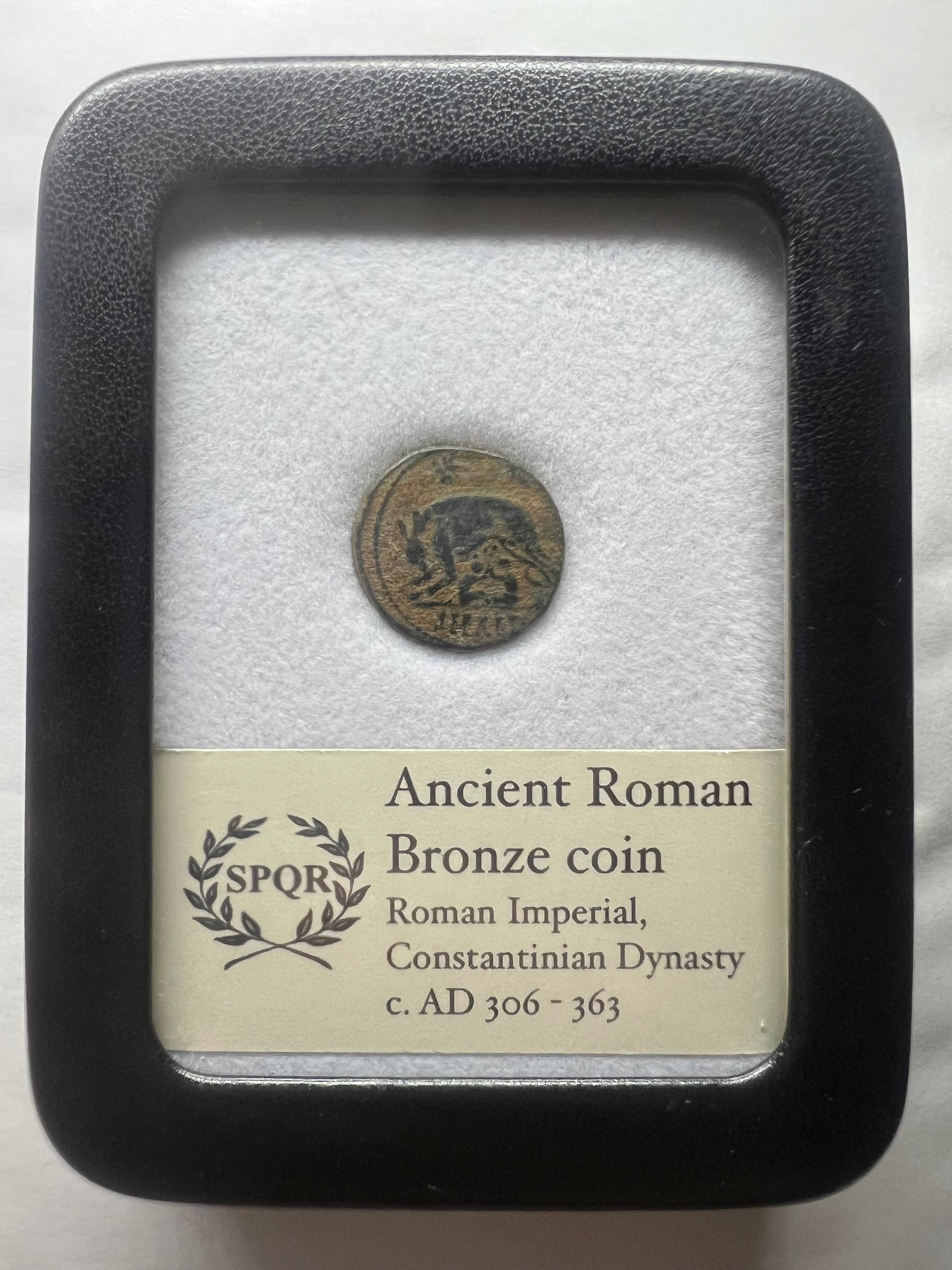 Ancient Roman coin She Wolf Urbs Roma