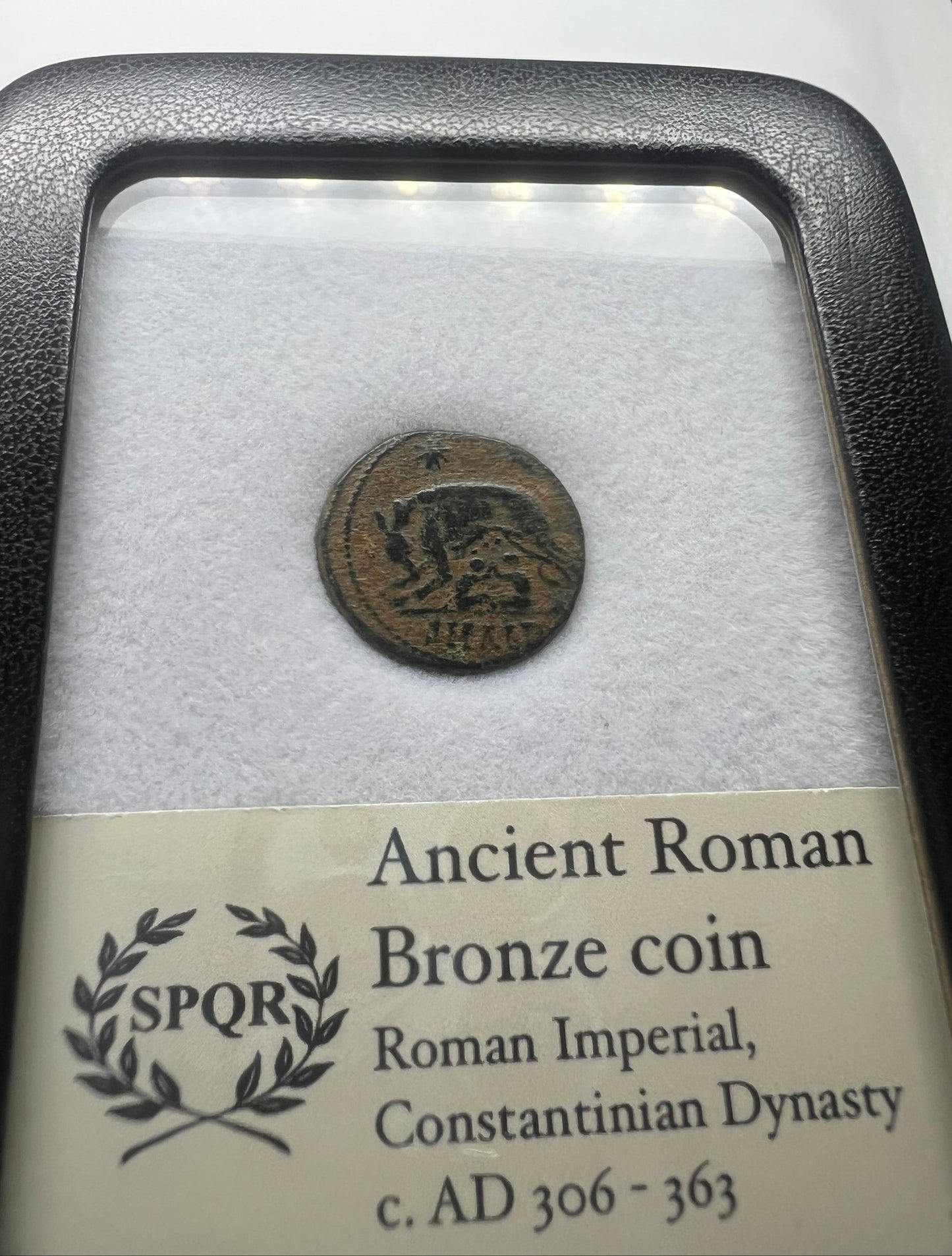 She-wolf Constantine Commemorative Coin