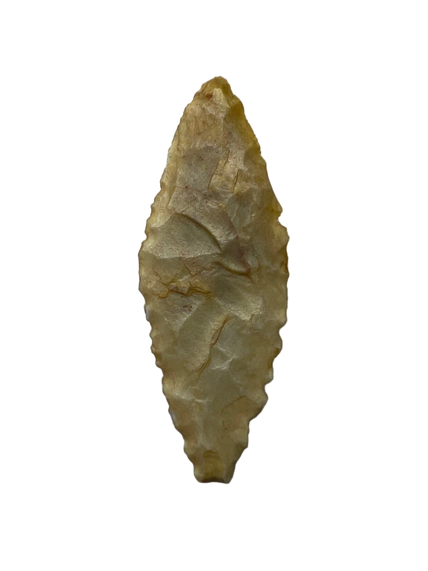 Stone Age Ancient Neolithic Stone Arrowhead in Display Case!