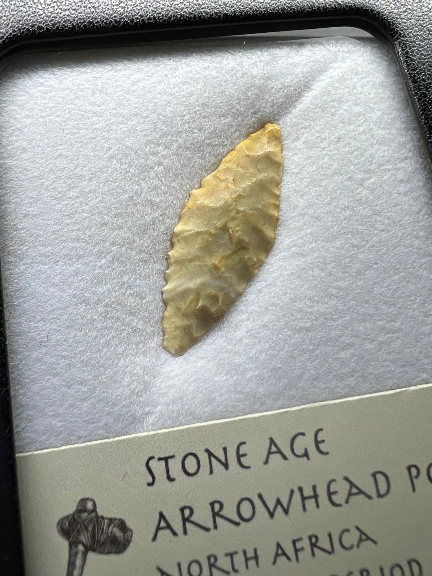 Stone Age Ancient Neolithic Stone Arrowhead in Display Case!