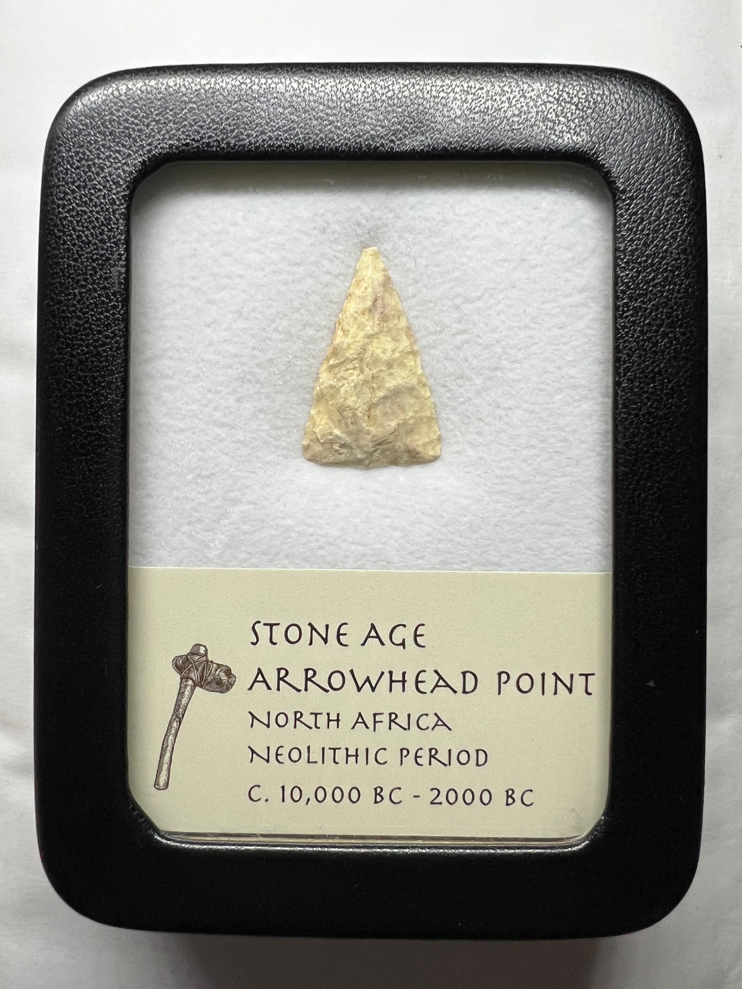 Stone Age Ancient Neolithic Stone Arrowhead in Display Case!