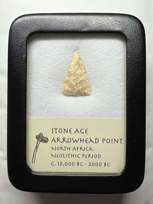 Stone Age Ancient Neolithic Stone Arrowhead in Display Case!