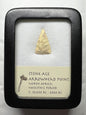 Stone Age Ancient Neolithic Stone Arrowhead in Display Case!