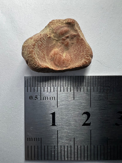 Ancient Roman Terracotta Clay Token/Tesserae 3RD CENTURY B.C. - 1ST CENTURY A.D.