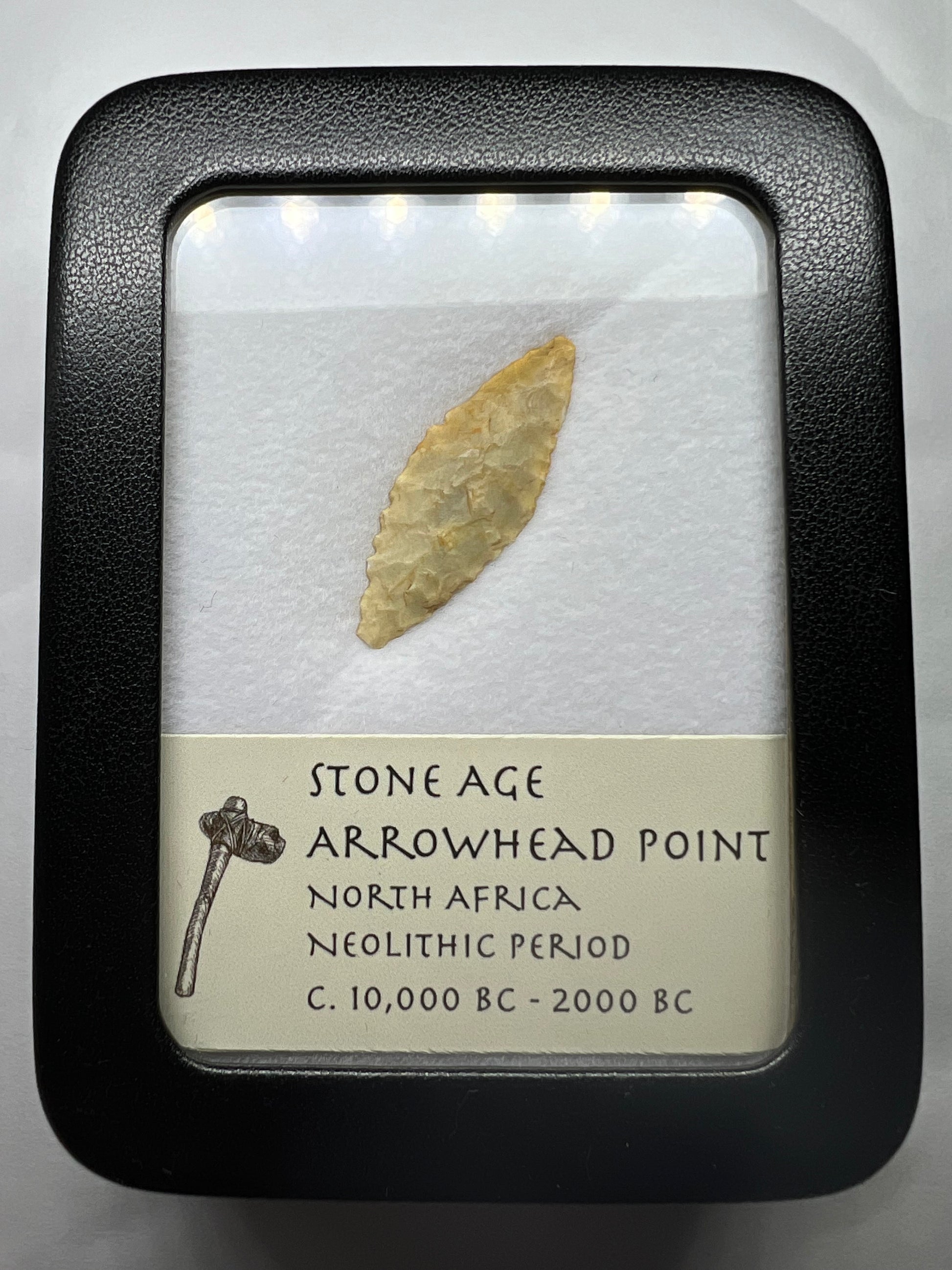 Stone Age arrowhead point in a display case with a label