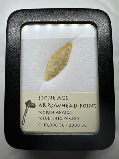 Stone Age arrowhead point in a display case with a label