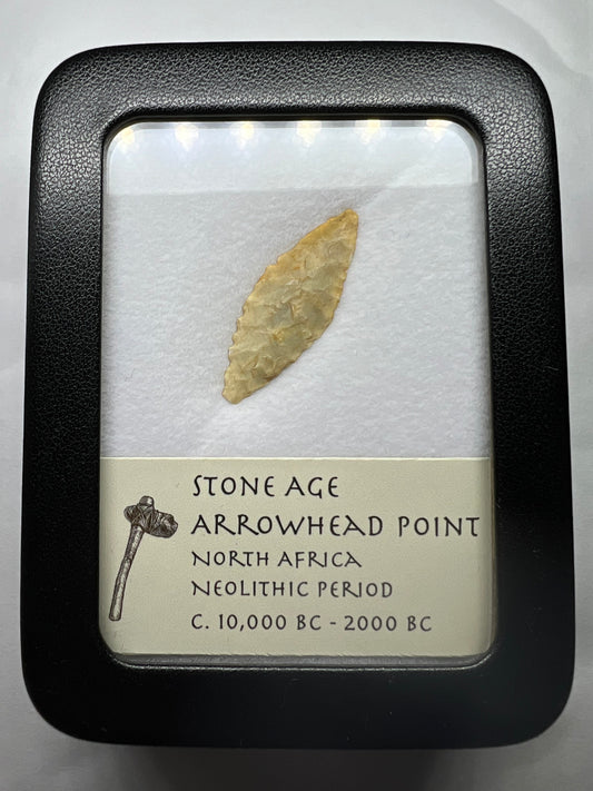 Stone Age arrowhead point in a display case with a label