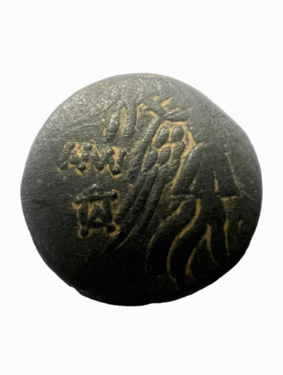 Ancient Greek Coin AMISOS PONTUS Mithradates VI GORGON & NIKE (85-65 BC)