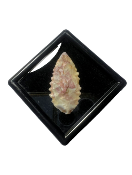 Stone Age Ancient Neolithic Stone Arrowhead in Display Box