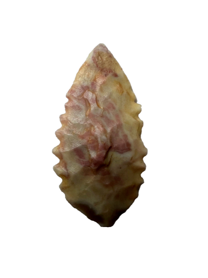 Stone Age Ancient Neolithic Stone Arrowhead in Display Box