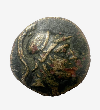 Ancient Greek Coin Mithradates VI Pontos Amisos head of Ares/sword 100 - 85 BC + Display box