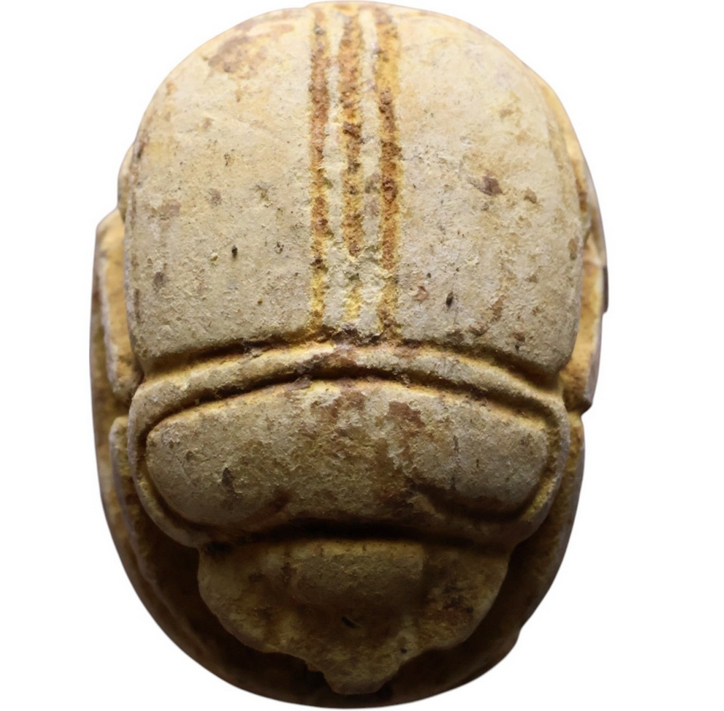 Ancient Egypt - Scarab seal (Circa 2nd Intermediate Period 1660 - 1550 BC)