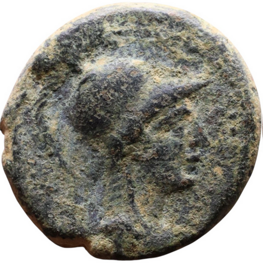 Ancient Greek Coin Apameia ad Orontem Semi-autonomous issue (I Century BC)