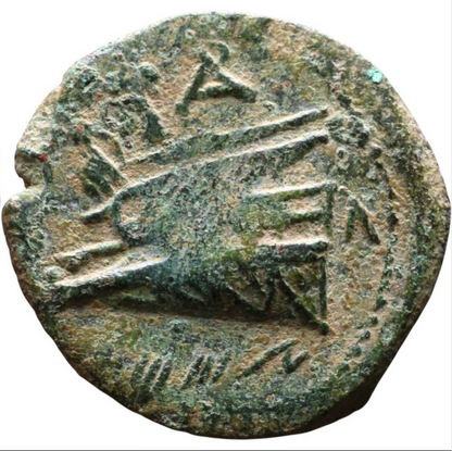 Ancient Greek Coin Arados in Phoenicia (II Century BC) Bronze coin