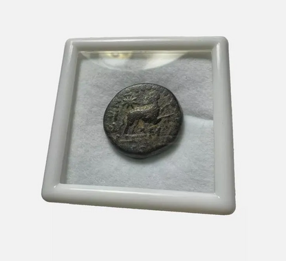 ANCIENT GREEK COIN PRESERVED (Fat & Chunky) JESUS CHRIST Birth STAR of BETHLEHEM