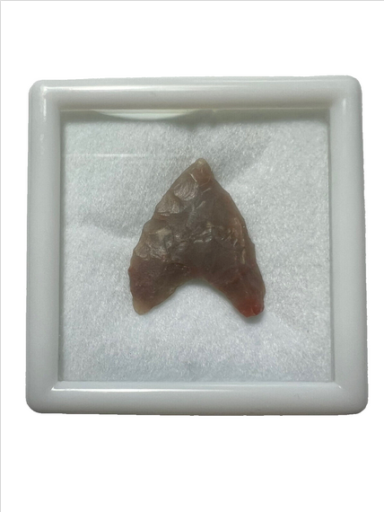 Stone Age Ancient Neolithic Stone Arrowhead in Display Box