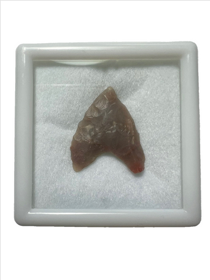 Stone Age Ancient Neolithic Stone Arrowhead in Display Box