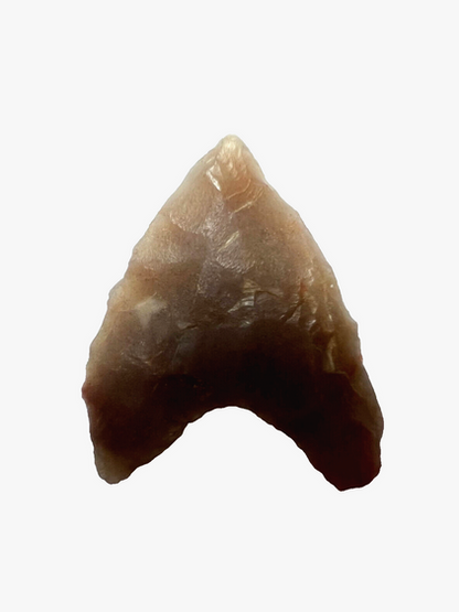 Stone Age Ancient Neolithic Stone Arrowhead in Display Box
