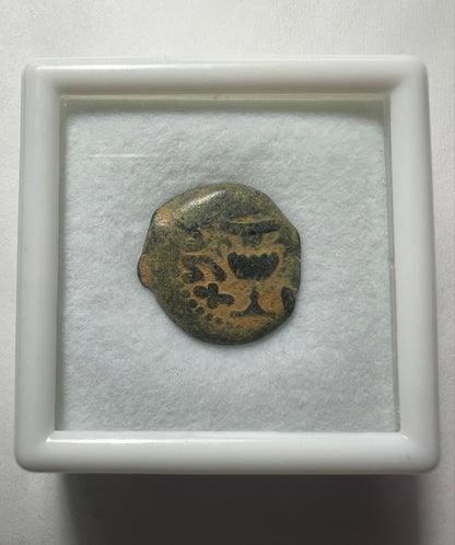Ancient coin of JUDAEA Jerusalem mint - First Jewish Revolt (66-70 AD). AE prutah + Display Box