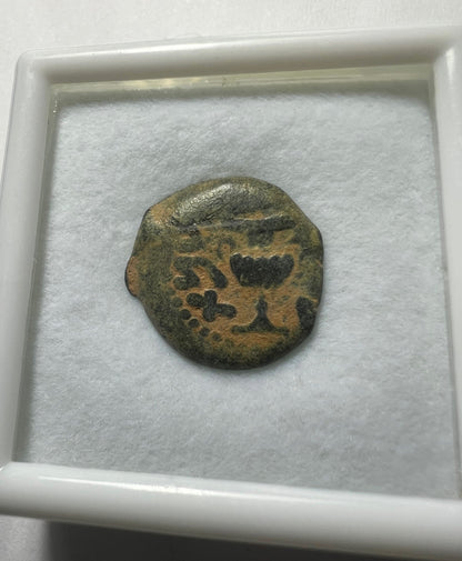 Ancient coin of JUDAEA Jerusalem mint - First Jewish Revolt (66-70 AD). AE prutah + Display Box