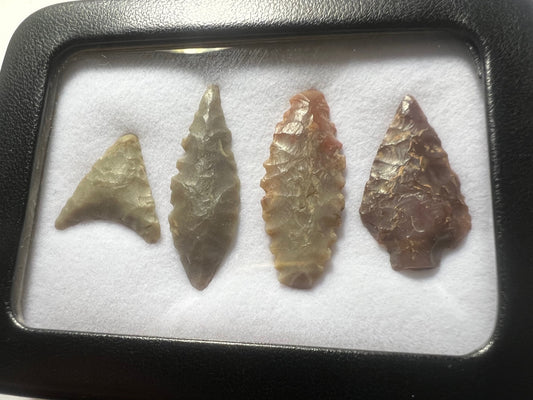 4x Stone Age Ancient Neolithic Stone Arrowheads in Display Case