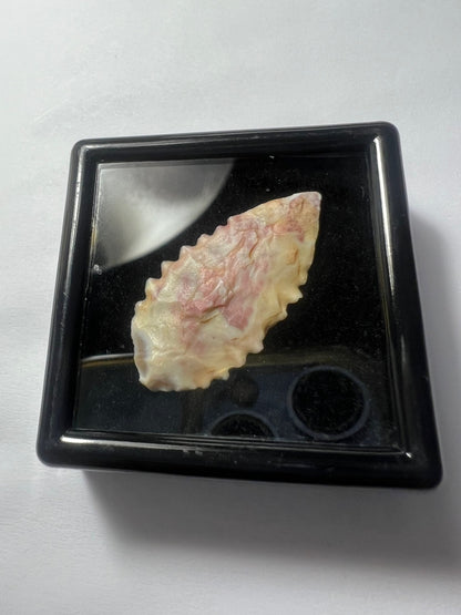 Stone Age Ancient Neolithic Stone Arrowhead in Display Box