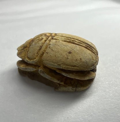 Ancient Egypt - Scarab seal (Circa 2nd Intermediate Period 1660 - 1550 BC)