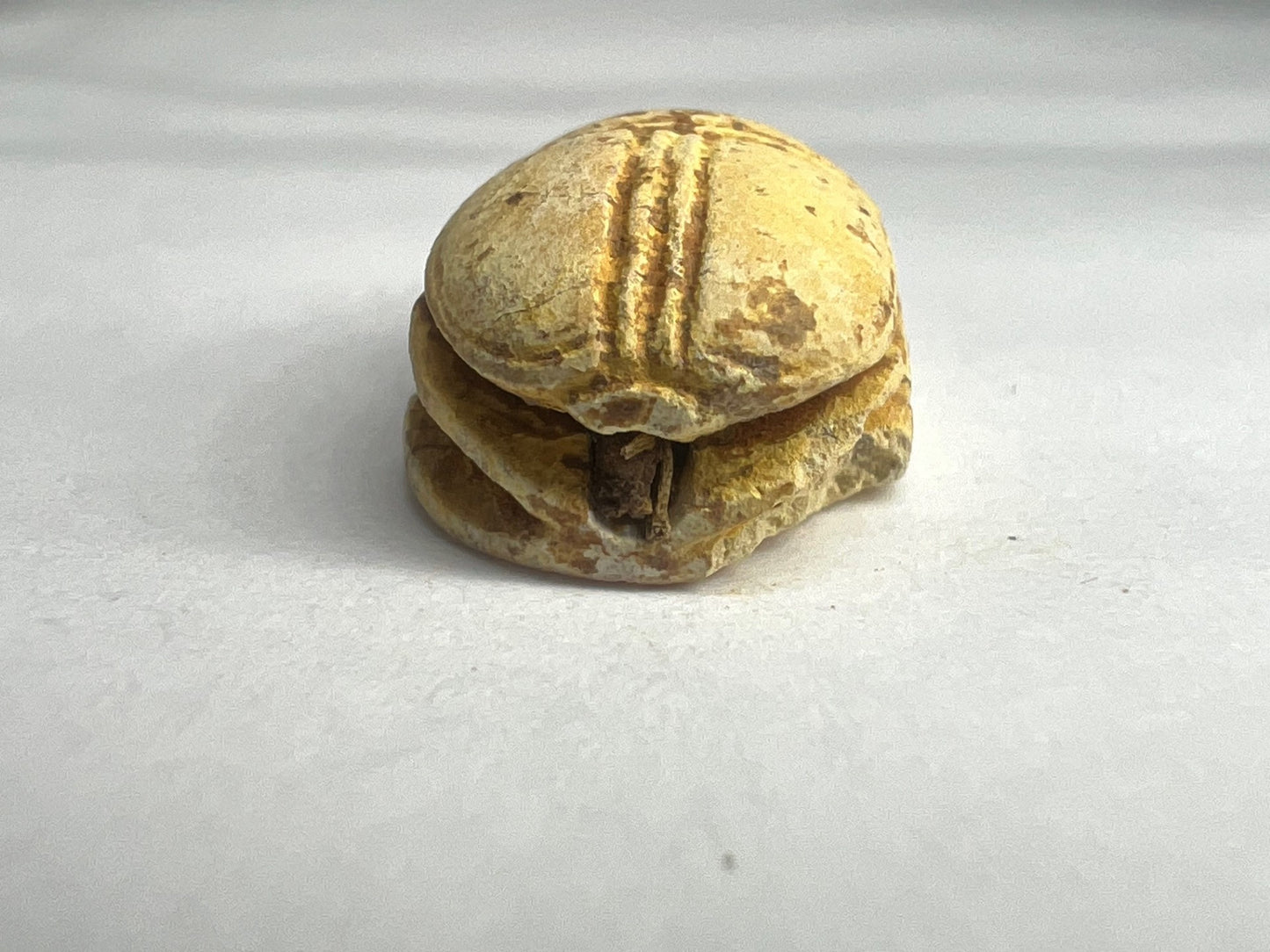 Ancient Egypt - Scarab seal (Circa 2nd Intermediate Period 1660 - 1550 BC)