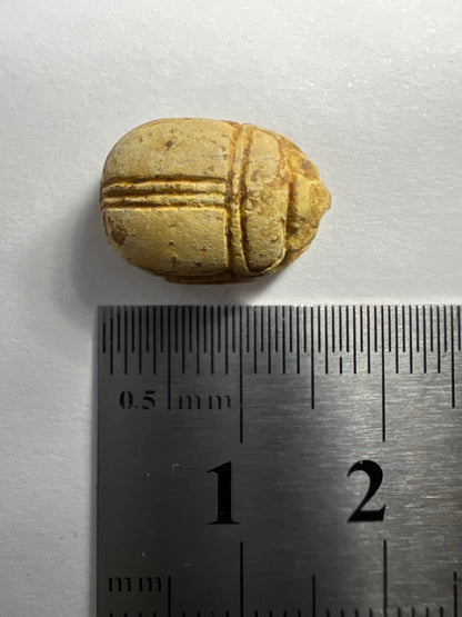 Ancient Egypt - Scarab seal (Circa 2nd Intermediate Period 1660 - 1550 BC)